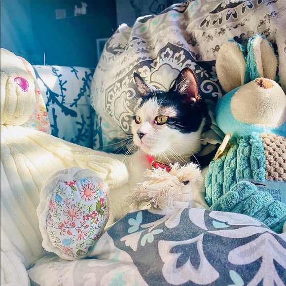 Meet your Posher, Elyse - Picture 3 of 8